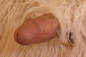 coupleforfunxxx